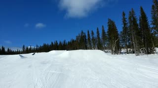 Chillåkning med Iggy