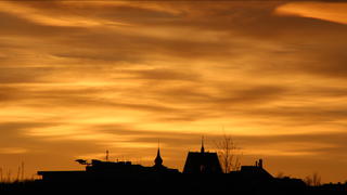 ANIMALS: by underdogs