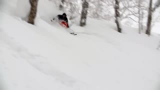 Reine Barkered i Japan