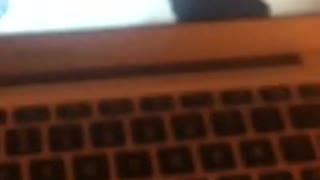 Ställer klockan efter Hayek