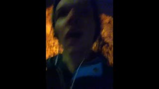 bestiger skansen kronan