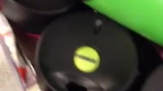 Mammut Pulse Barryvox- mäta pulsen