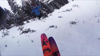 Ett åk med Pep och Sage i Alta