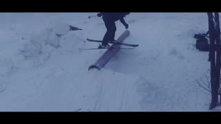 Big Bear & Mr.Gorilla