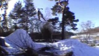 spring-backyard sessions