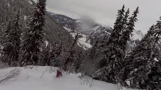 Dirty forrest shit from Disentis