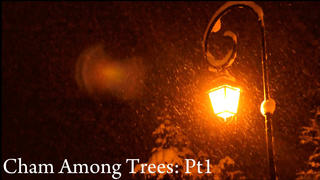 Chamonix Among Trees Pt1