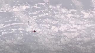 Julien Lopez och lavinen i Kappl på FWT 2015