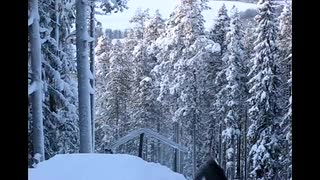 One of us is gonna die young