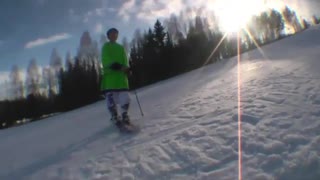 One elk and two trees