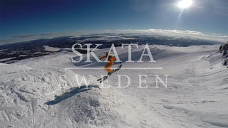 SKATA SWEDEN - Solravinen