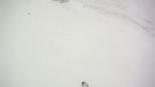 Vad kom först, hönan eller ägget?