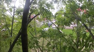 episode 1 (trampoline tricks)