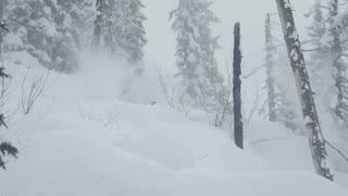 Snorkelföre: Josh Mcskimming | 2015