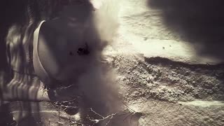 Dagens snyggaste: Japanska Puderdrömmar