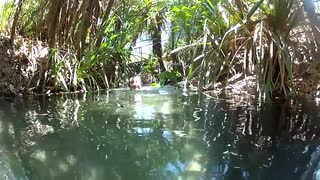 Austrlien roadtrip, Snakes, Sharks n Spiders