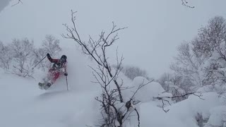 Puderdrömmar från Japan