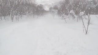 Niseko, Husbil, Rusutsu