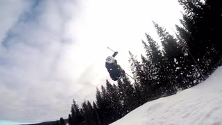 Petter Elfsberg 15/16