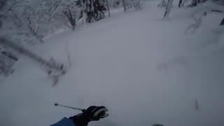 Ett åk i gummiskogen, hemsedal. Januari 2016