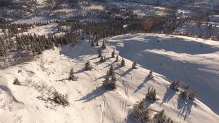 Gønnerun i Høgevarde Fjellpark