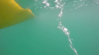 Roadtrip New Zealand