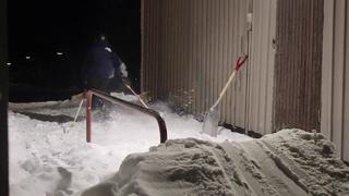 Some urban and backyard