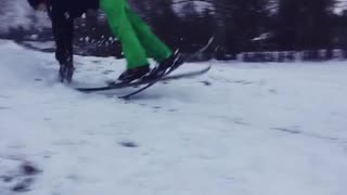 Backyard shred