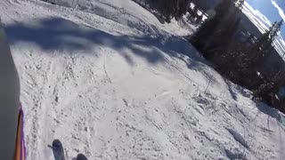 Skogstur I Tegefjall