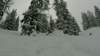 Djupaste dagen i våra liv