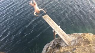 Reklamrulle för Riksgränsen