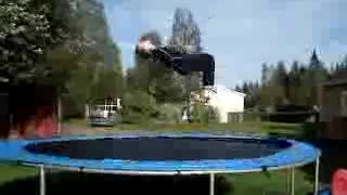 intro of Affe sampler 2009..