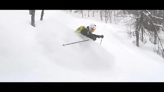 Petter Elfsberg 2016 / 2017