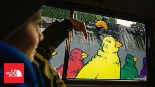 Imagination: Tom Wallisch