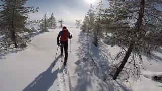 The Good, the Bad and the Shredder