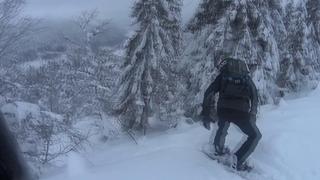Sälen 2018 - Hitting the woods