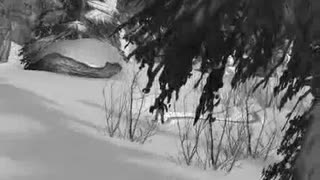 Freakout Extreme Freeride