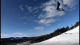 Samuel Ålander - Spring 2018