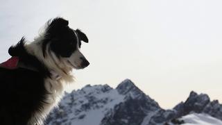 South Lines 2017 - Full Film