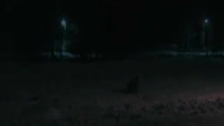 en movie från karlstad skogarna 2