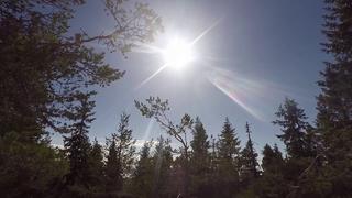 Skiing - Yxberget 2018