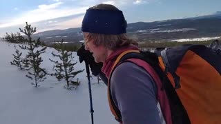 Skogstrivsel i Jämtland