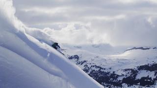 Scandinavian Migration | Salomon TV