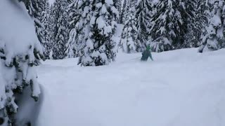 Fernie Lizard Range BC Jan 2020