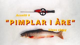 FISKAR RÖDING OCH ÅKER OFFPIST | VLOGG 8