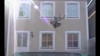 IDIOTS - en dag hos danne