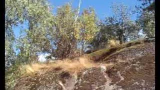 IDIOTS - sparvens summermovie