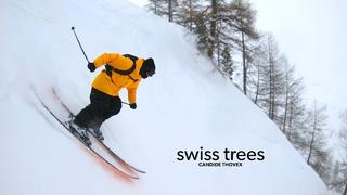 Candide och träden i Schweiz 🇨🇭 