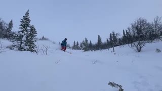 Shark infested water