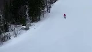 En och enhalv backflip